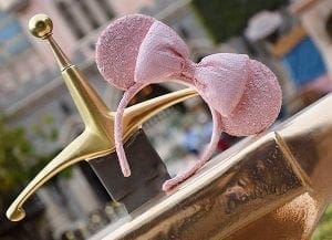 Spring at Disney World. Pink Minnie Ears. Vivacious Views